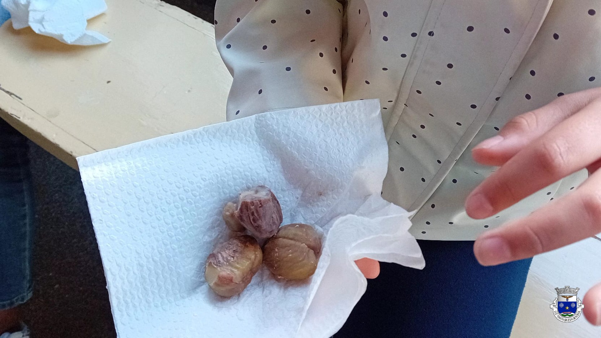 Junta de Freguesia da Luz Assinala o Dia de São Martinho com Oferta de Castanhas na Escola Primária da Luz